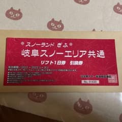 岐阜スノーエリア　共通リフト1日券　引換券のサムネイル