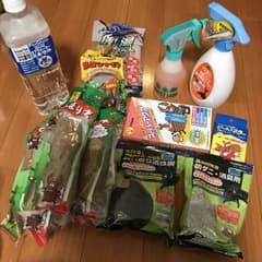 昆虫セット(カブトムシ、クワガタ)のサムネイル