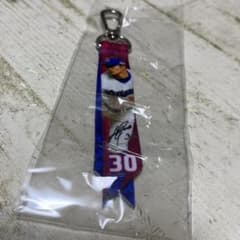 中日ドラゴンズガチャ 根尾昂選手背番号30 ミニボンフィン - メルカリ