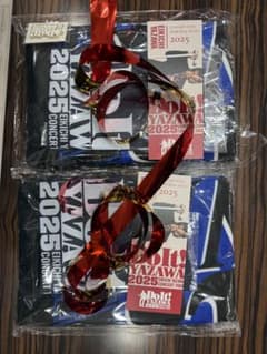 矢沢永吉ツアー Do It! YAZAWA 2025 SS席限定特典 2枚セット - メルカリ