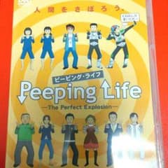 みっちー様専用★ピーピングライフDVD★美品のサムネイル