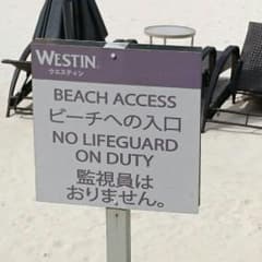 【あちゃ様専用です】のサムネイル