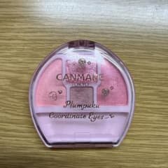 CANMAKE プランぷくコーデアイズ 04 アイシャドウのサムネイル