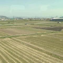 yuji様専用のサムネイル