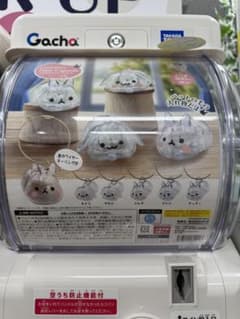 うさぎのタイムカプセルのサムネイル