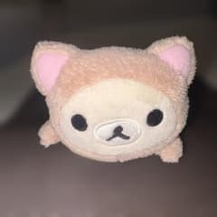 코리락쿠마 펜 케이스 더 한가로이 고양이