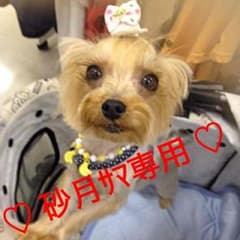 ⋈ 砂月様 専用出品 ⋈のサムネイル
