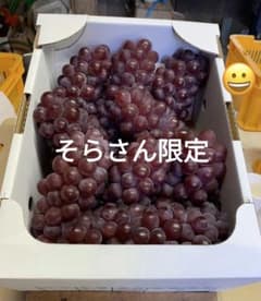 山形県産デラウェア2kg前後(箱抜きの重さ)「そら」さん限定のサムネイル