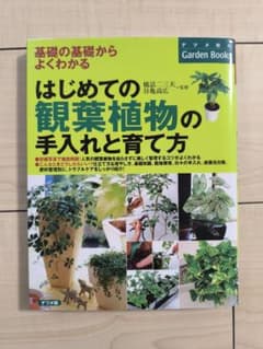 はじめての観葉植物の手入れと育て方｜基礎からよくわかるのサムネイル