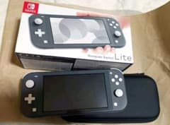 Nintendo SwitchLite　グレー(ケース付き)のサムネイル
