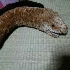 ウツボ うつぼ ぬいぐるみのサムネイル