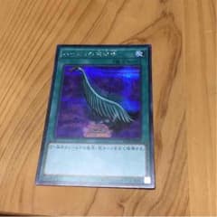 ハーピーの羽根帚 シクのサムネイル