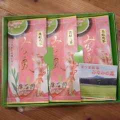 高級煎茶　緑茶　鹿児島茶　100g×3袋　セットのサムネイル