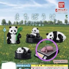 まちぼうけ パンダの場合 赤ちゃんパンダ ガシャポンのサムネイル