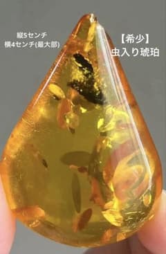 【希少・食塩水テスト済】天然 虫入り琥珀 雫型 ルース ヴィンテージ　値引き◎のサムネイル