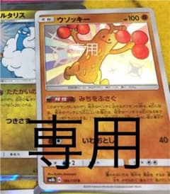 ポケモン カード 専用のサムネイル