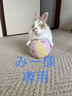 夢喰NEONまさむねピンチェキのサムネイル