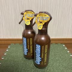 Coppertone サンオイル スプレー 2本セット - メルカリ