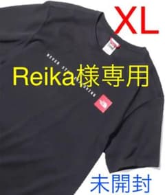 ザ ノースフェイス  tシャツ XLのサムネイル