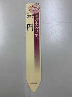 ミックスベリア 029 円 札のみ - メルカリ