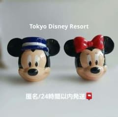 東京ディズニーリゾート ミッキー&ミニー顔 陶器 小物入れ - メルカリ
