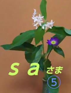 袋帯２点＋夏袋帯1点のサムネイル