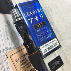 リーディング アオリ 117のサムネイル