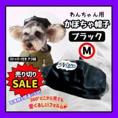 わんちゃん用 ベレー帽 ペット帽子 小型犬 かぼちゃ帽子 単品　黒、Ｍサイズのサムネイル