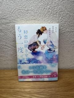 もう一度 初恋の続きを 小説のサムネイル