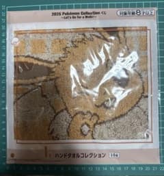 ポケモン 2025 Pokémon Collection くじ ハンドタオルのサムネイル