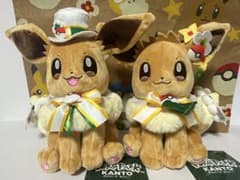 ポケパーク カントー カーニバル 衣装 イーブイ ぬいぐるみ マスコット