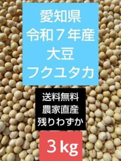 【令和7年新大豆】愛知県産フクユタカ 26kg｜味噌仕込み・加工用｜農家直送 大豆 フクユタカ 3kg 令和7年産 味噌作り用｜豆乳・豆腐｜農家直送