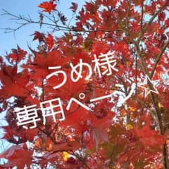 うめさま専用☆ 介護用品のサムネイル