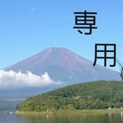 専用出品のサムネイル