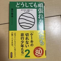 どうしても頑張れない人たち ケーキの切れない非行少年たち 2