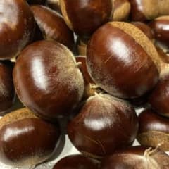 （お値打）無農薬・上州産大きな利平栗（１４）１．２ｋｇ・渋皮煮・甘露煮のサムネイル