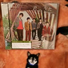 君のうたのサムネイル