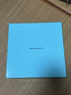 Tiffany & Co. プレート 2枚セット　新品未使用品のサムネイル