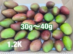 摘果青マンゴー1.1キロ（25g〜40g）コンパクトBOX - メルカリ