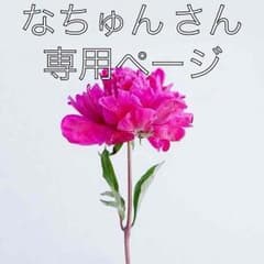 なちゅん 様 専用ページのサムネイル