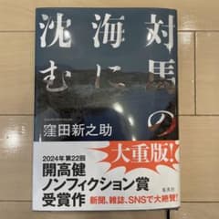 対馬の海に沈むのサムネイル