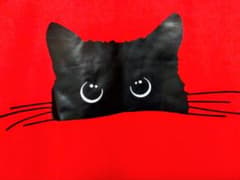 【なっちゃん様専用】猫ちゃん 長袖Tシャツ 赤のサムネイル