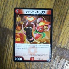 ダチッコチュリスのサムネイル