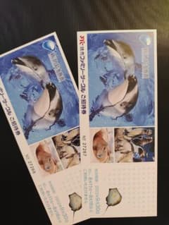 新江ノ島水族館 招待券　2枚のサムネイル