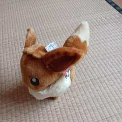 포켓몬 이브이 봉제인형