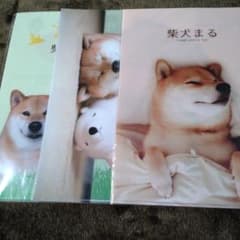SALE♫柴犬まる　クリアファイル３点セットのサムネイル