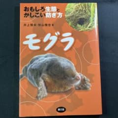 モグラ : おもしろ生態とかしこい防ぎ方のサムネイル