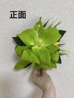 フラダンス用 ヘアクリップ グリーンのサムネイル