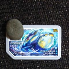 ポケモンガオーレゲンシカイオーガのサムネイル