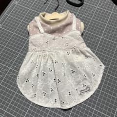 犬服 パープルドット重ね着風キャミレースワンピース✩.*˚のサムネイル